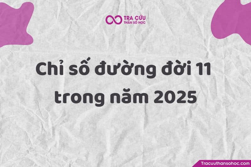 Trong năm 2025 – năm thế giới số 9 này, người số 11 cần lưu ý điều gì?