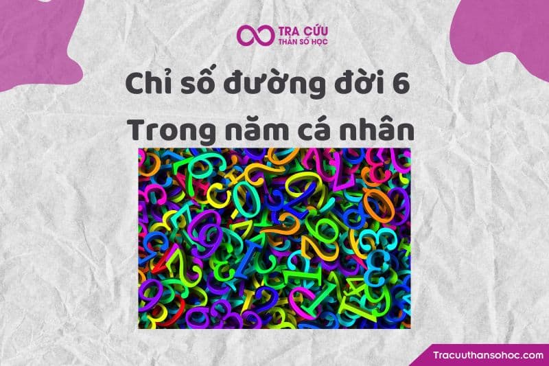 Chỉ số đường đời 6 trong năm cá nhân