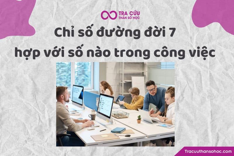 Chỉ số đường đời 7 hợp với số nào trong công việc