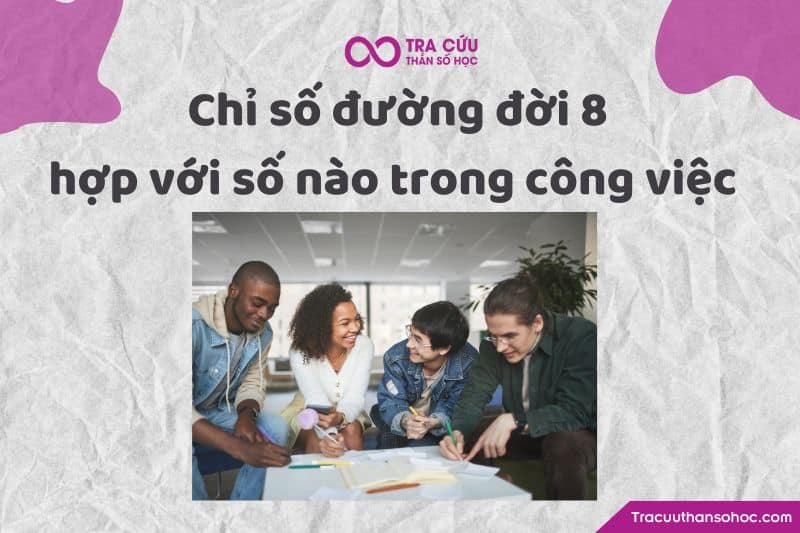 Chỉ số đường đời 8 hợp với số nào trong công việc