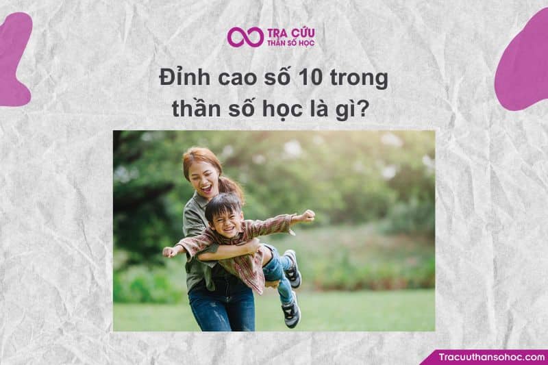 Đỉnh cao số 11 là gì? Đặc điểm và ý nghĩa ở từng giai đoạn trong biểu đồ kim tự tháp